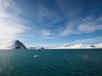 NO, Spitsbergen, Kongsfjord 15, Saxifraga-Bart Vastenhouw