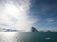 NO, Spitsbergen, Kongsfjord 19, Saxifraga-Bart Vastenhouw