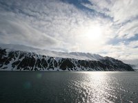 NO, Spitsbergen, Kongsfjord 2, Saxifraga-Bart Vastenhouw