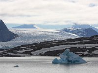 NO, Spitsbergen, Kongsfjord 29, Saxifraga-Bart Vastenhouw