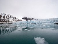 NO, Spitsbergen, Kongsfjord 30, Saxifraga-Bart Vastenhouw