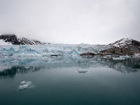 NO, Spitsbergen, Kongsfjord 31, Saxifraga-Bart Vastenhouw