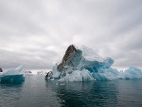 NO, Spitsbergen, Kongsfjord 32, Saxifraga-Bart Vastenhouw