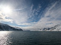 NO, Spitsbergen, Kongsfjord 5, Saxifraga-Bart Vastenhouw