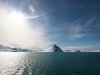 NO, Spitsbergen, Kongsfjord 6, Saxifraga-Bart Vastenhouw