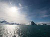 NO, Spitsbergen, Kongsfjord 7, Saxifraga-Bart Vastenhouw