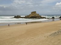 P, Faro, Vila do Bispo, Praia de Castelejo 13, Saxifraga-Willem van Kruijsbergen