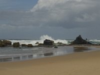 P, Faro, Vila do Bispo, Praia de Castelejo 15, Saxifraga-Willem van Kruijsbergen