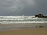 P, Faro, Vila do Bispo, Praia de Castelejo 16, Saxifraga-Willem van Kruijsbergen