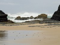 P, Faro, Vila do Bispo, Praia de Castelejo 60, Saxifraga-Willem van Kruijsbergen