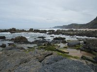 P, Faro, Vila do Bispo, Praia de Castelejo 73, Saxifraga-Willem van Kruijsbergen