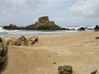 P, Faro, Vila do Bispo, Praia de Castelejo 9, Saxifraga-Willem van Kruijsbergen