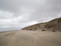 NL, Friesland, Vlieland, Northwest beach 3, Saxifraga-Bart Vastenhouw