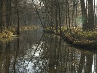NL, Noord-Brabant, Bergeijk, De Beeken, Beekloop 2, Saxifraga-Jan van der Straaten