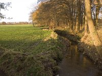 Elzenloopje, Noord-Brabant