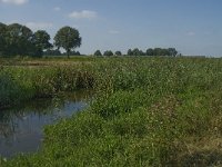 NL, Noord-Brabant, Hilvarenbeek, Spruitenstroompje 3, Saxifraga-Jan van der Straaten