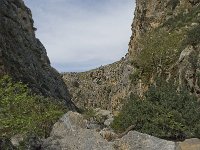 GR, Crete, Rethimnon, Limni, Helidomon Gorge 5, Saxifraga-Willem van Kruijsbergen