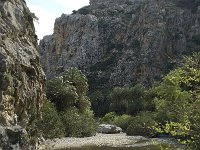GR, Crete, Rethimnon, Limni, Helidomon Gorge 6, Saxifraga-Willem van Kruijsbergen