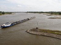 NL, Gelderland, Nijmegen 13, Saxifraga-Harry van Oosterhout