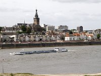 NL, Gelderland, Nijmegen 14, Saxifraga-Harry van Oosterhout