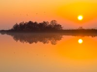 Sunset is reflecting  Sunset is reflecting in mirror like lake : Noordenveld, atmosphere, autumn, calm, creative nature, dageraad, dawn, dusk, dutch, geel, hemel, herfst, holland, kalm, lake, lakeside, landscape, landschap, leekstermeer, lente, licht, light, meer, mist, natura 2000, natural, nature, natuur, natuurlijke, nederland, nederlands, nevel, nevelig, orange, oranje, peace, quiet, reflect, reflecteren, reflectie, reflection, rudmer zwerver, rust, schemering, sereen, serene, sfeer, silhouette, sky, spectaculair, spectacular, spring, summer, sun, sunbeam, sunlight, sunray, sunrise, sunset, sunshine, tranquil, twilight, vogels, vredig, water, yellow, zomer, zon, zonlicht, zonneschijn, zonnestraal, zonsondergang, zonsopgang