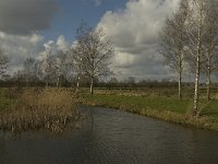 NL, Noord-Brabant, ´s-Hertogenbosch, Bossche Broek 42, Saxifraga-Jan van der Straaten