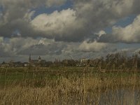 NL, Noord-Brabant, ´s-Hertogenbosch, Bossche Broek 43, Saxifraga-Jan van der Straaten