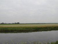 207-536, N, 2013-06-11, Sovon-A.J. van Dijk, 207657-536540, Steenwijkerland