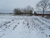 226-576, O, 2012-02-08, NL-Wim van Boekel, 53.170056 NB-6.457112 OL, Noordenveld