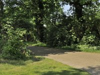 234-566, N, 2012-06-02, NL-G.de Heij, 53.079363 NB-6.573594 OL, Tynaarlo