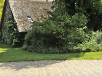 234-566, O, 2012-06-02, NL-G.de Heij, 53.079363 NB-6.573594 OL, Tynaarlo