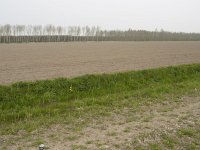 149-485, N, 2011-04-16, NL-Hans Farjon, 52.358426 NB-5.304970 OL, Almere : droogmakerijenlandschap