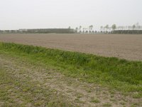 149-485, W, 2011-04-16, NL-Hans Farjon, 52.358426 NB-5.304970 OL, Almere : droogmakerijenlandschap