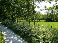 203-573, Z, 2012-05-26, NL-Wim Huisman, 203518-573555, Smallingerland