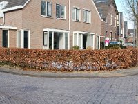 186-444,N,2012-02-11,NL-Ronald de Boer,186516-444515, Renkum