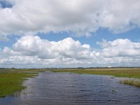 NL, Drenthe, Noordenveld, Polder Matsloot 6, Saxifraga-Hans Dekker