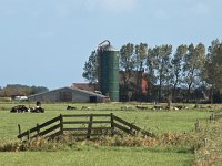 Agricultural scene with farm, silo and cows  Agricultural scene with farm, silo and cows : agrarisch, agrarische, agricultural, agriculture, animal, background, bio industie, bioindustrie, blue, boarnsterhim, boerderij, cattle, close, clouds, color, country, countryside, cow, creative nature, dairy, day, dutch, economy, environment, europe, european, farm, farming, farmland, fence, field, fresh, friesland, frisian, gate, grass, grassland, graze, grazing, green, hek, holland, intensief, intensieve, koe, koeien, lanbouwhuisdier, land, landbouw, landscape, landschap, livestock, mammal, meadow, melkvee, melkveehouderij, milk, nature, nederland, outdoor, outside, pastoral, pasture, platteland, red, rudmer zwerver, rund, rural, scene, silo, sky, spring, summer, vee, view, weiland, white