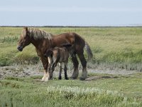 NL, Groningen, Het Hogeland, Noordpolderzijl 17