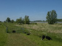 NL, Noord-Brabant, Altena, Amer 15, Saxifraga-Jan van der Straaten