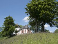 D, Nordrhein-Westfalen, Blankenheim, Alendorf 2, Saxifraga-Willem van Kruijsbergen