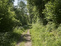 D, Nordrhein-Westfalen, Blankenheim, Alendorf, Kalvarienberg 10, Saxifraga-Willem van Kruijsbergen