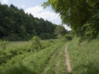 D, Nordrhein-Westfalen, Blankenheim, Alendorf, Kalvarienberg 11, Saxifraga-Willem van Kruijsbergen