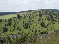 D, Nordrhein-Westfalen, Blankenheim, Alendorf, Kalvarienberg 6, Saxifraga-Willem van Kruijsbergen
