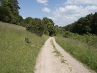 D, Nordrhein-Westfalen, Blankenheim, Alendorf, Kalvarienberg 9, Saxifraga-Willem van Kruijsbergen