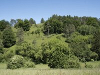 D, Rheinland-Pfalz, Prum, Schonecken 14, Saxifraga-Willem van Kruijsbergen