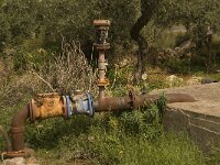 GR, Crete, Lasithi, Neapoli 2, Saxifraga-Willem van Kruijsbergen