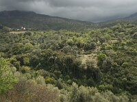 GR, Crete, Rethimnon, Voleones 1, Saxifraga-Willem van Kruijsbergen