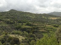 GR, Crete, Rethimnon, Voleones 2, Saxifraga-Willem van Kruijsbergen