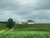 NL, Limburg, Maastricht, Jekerdal 2, Saxifraga-Foto Fitis-Sytske Dijksen