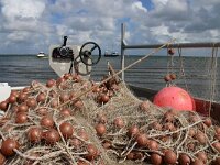 NL, Noord-Holland, Texel, De Bol 6, Saxifraga-Foto Fitis-Sytske Dijksen